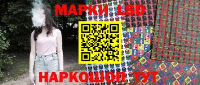 гашик Будённовск