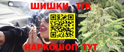 гашик Будённовск