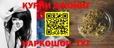 гашик Будённовск