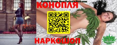 гашик Будённовск