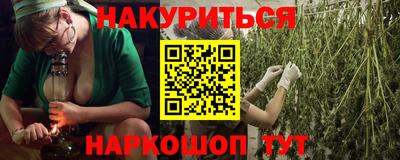 гашик Будённовск