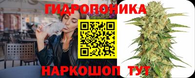 гашик Будённовск