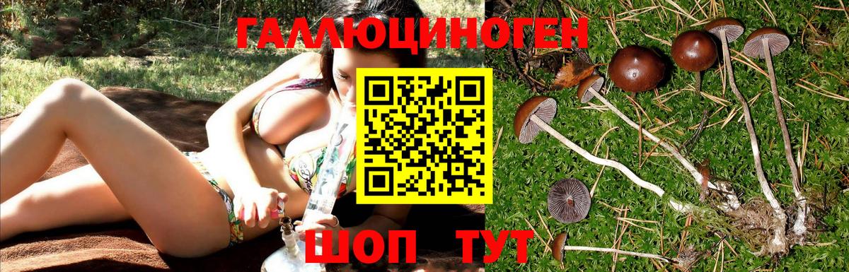 Галлюциногенные грибы Psilocybine cubensis  наркошоп  Сарапул  Вход с VPN 