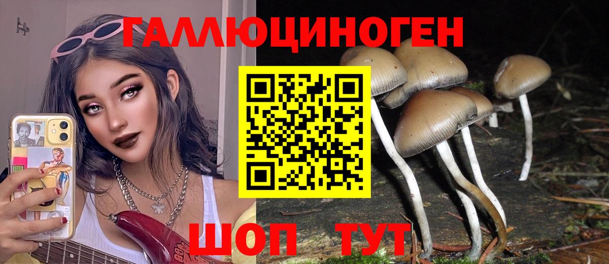 Псилоцибиновые грибы мицелий Сарапул
